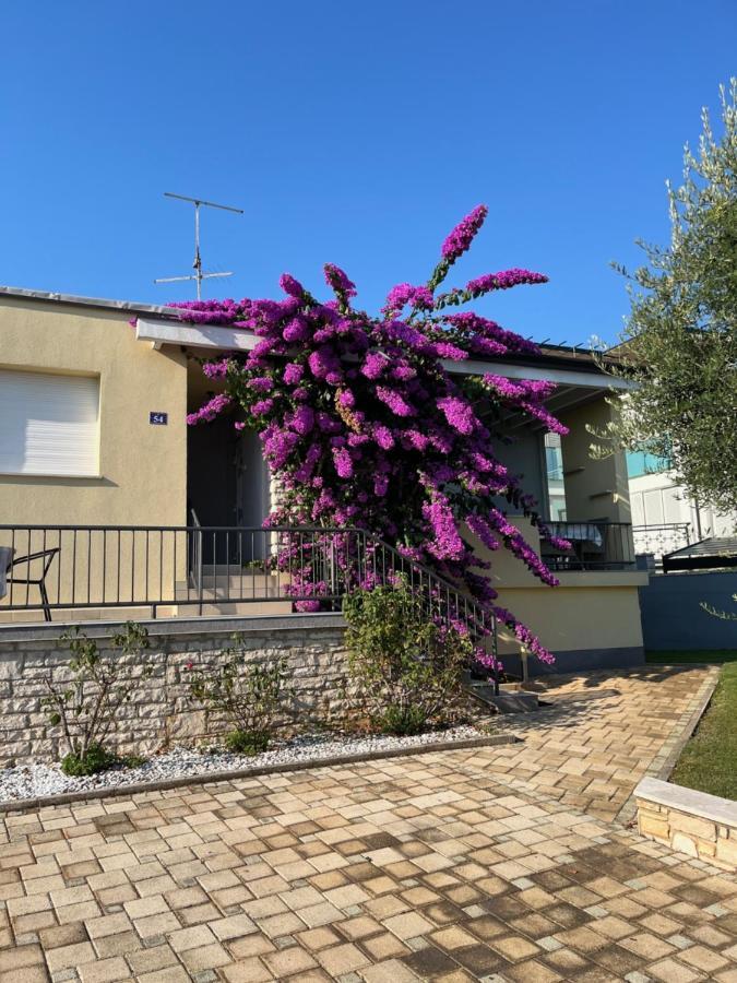 App Forza Apartment Umag Bagian luar foto